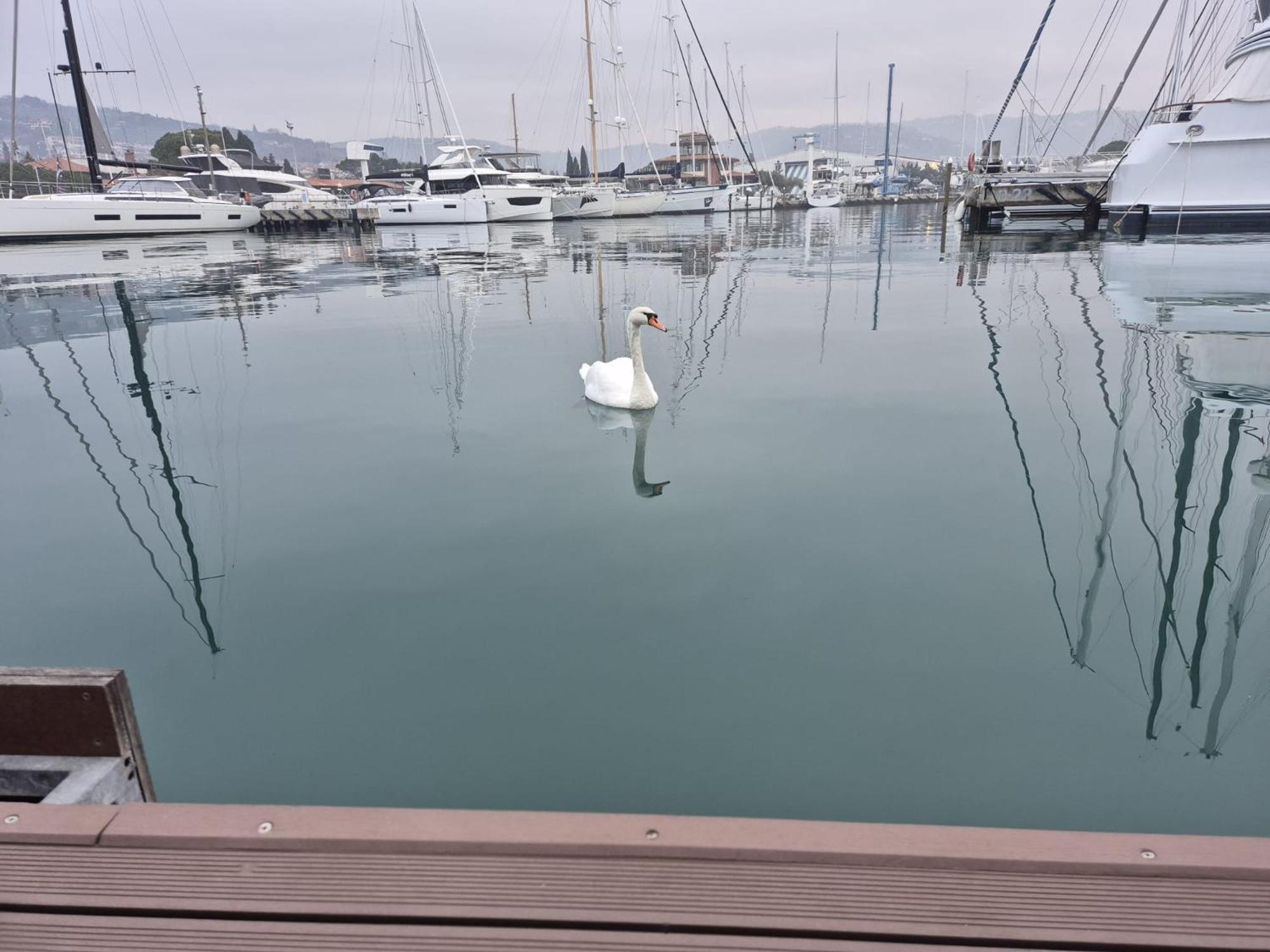 Floating Sea House Aurora Villa Portoroz Exterior photo